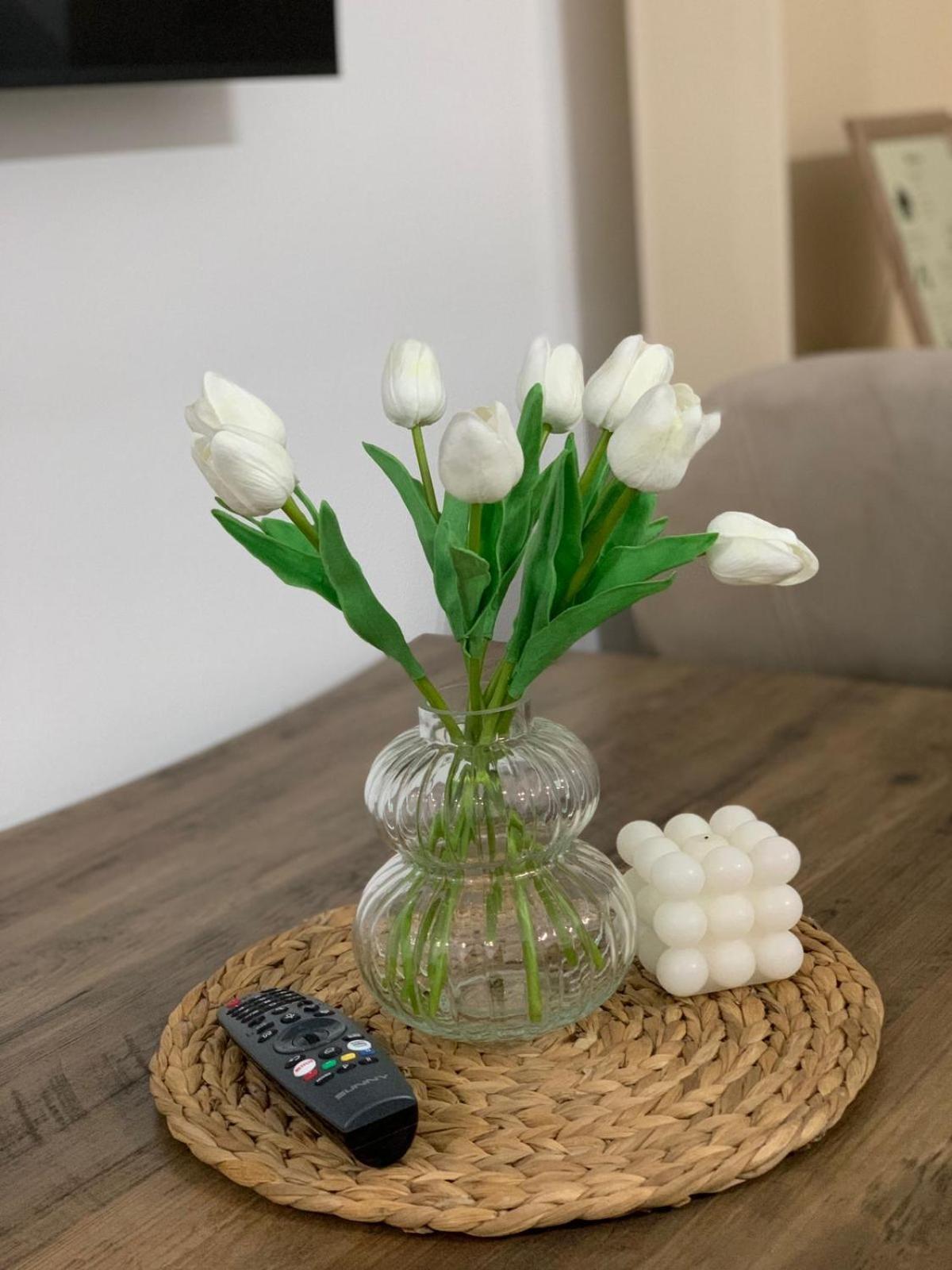Ridi'S Comfort Apartment 2 Shkoder Ngoại thất bức ảnh